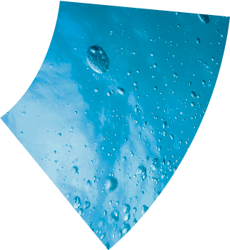 Marine Based Actives